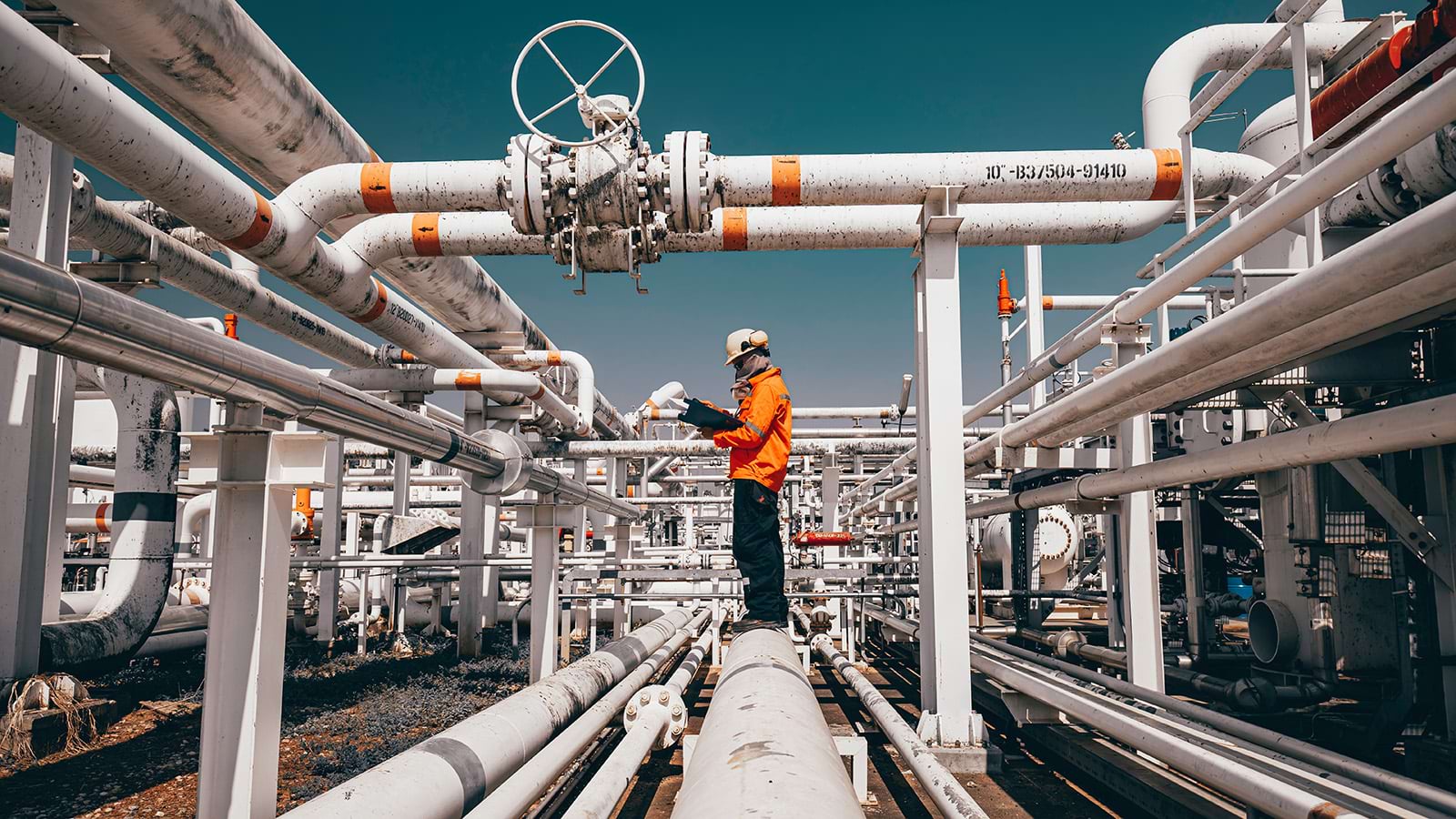 RIGI: atraviesa ocho industrias y exportación estratégica a largo plazo. Imagen: PWC